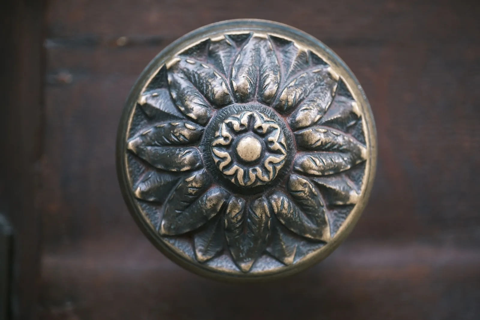 Ornate antique brass doorknob on a dark wooden door